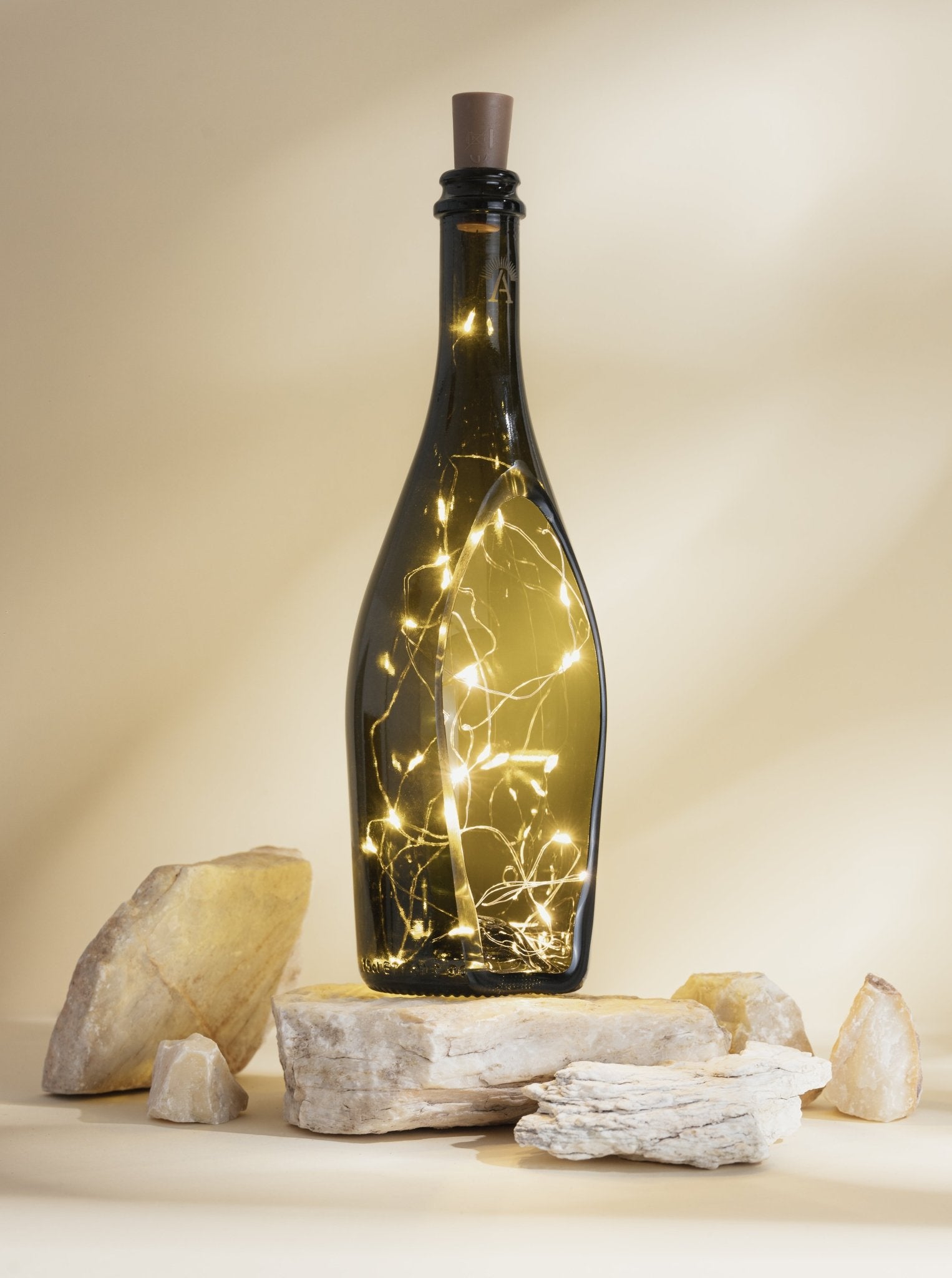 Wine Bottle lamp 「Double Exposure」 Wine Bottle Lamp with Wine