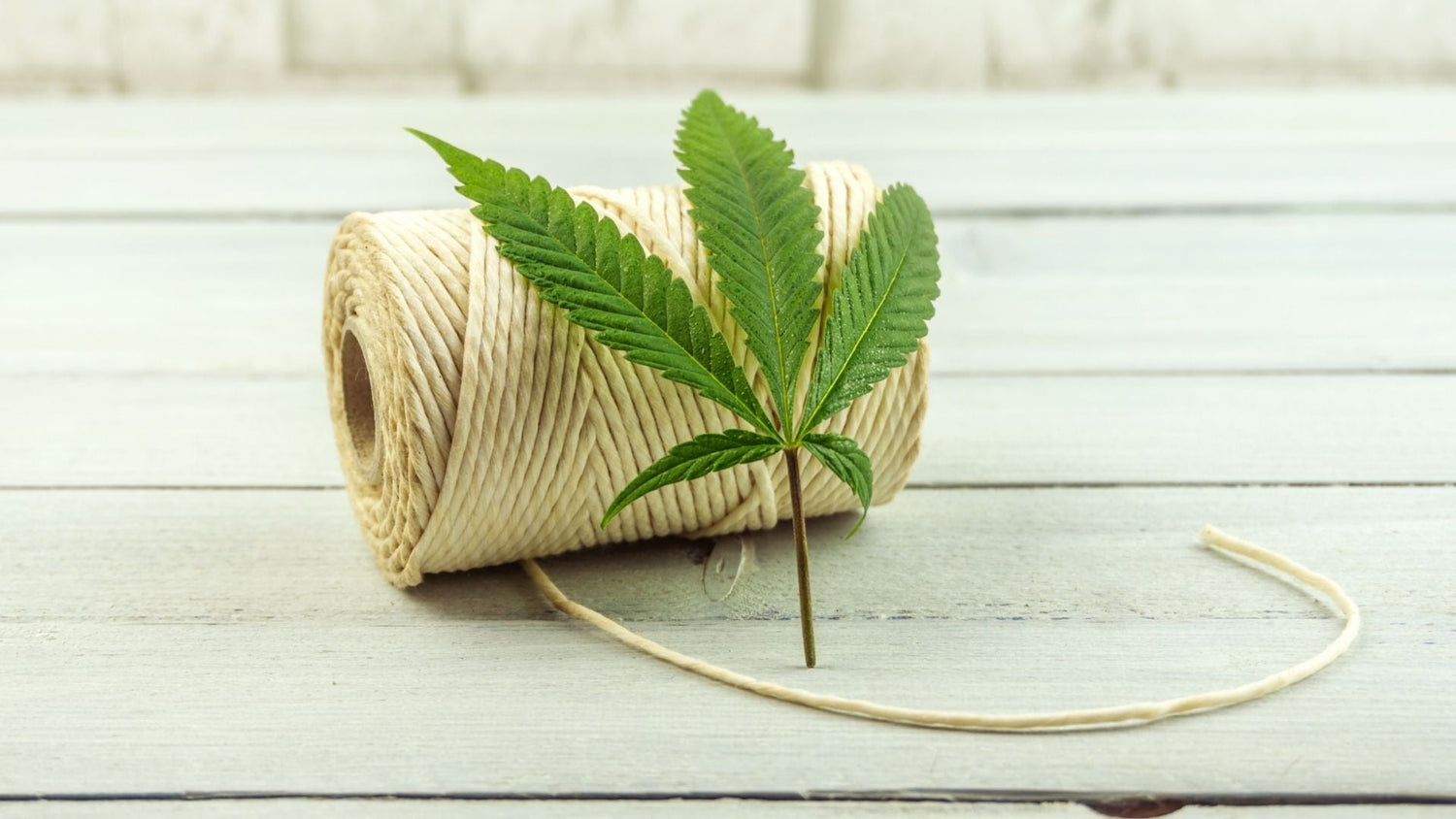 Ecodesign: cos'è, materiali ecosostenibili e oggetti di design in vetro riciclato