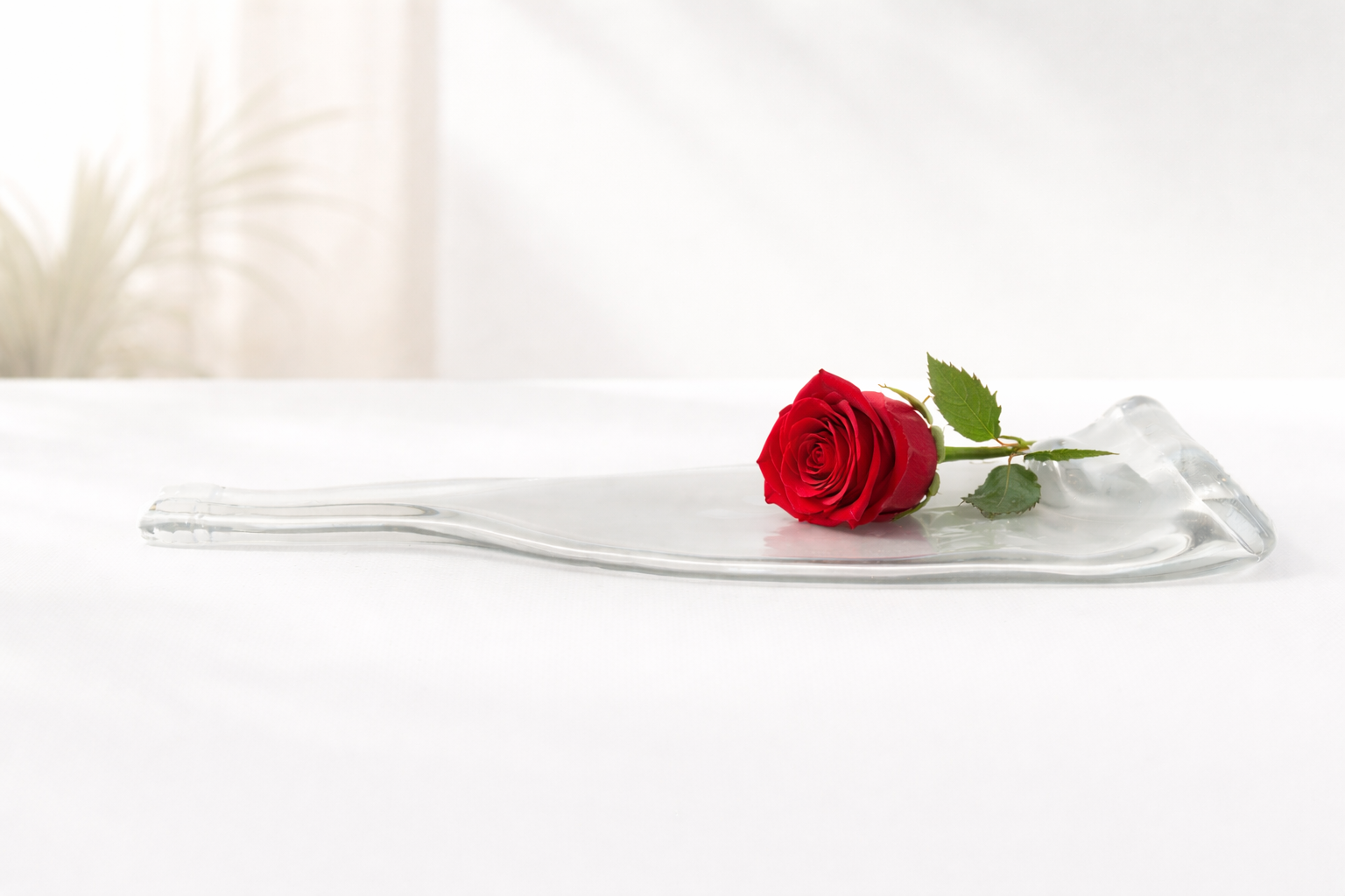 Idee regalo ecosostenibili per San Valentino: i doni green che durano nel tempo